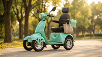 Mobility Scooter with Adjustable Seat & Storage Box, 4-Wheel, 800W Green — Lifestyle