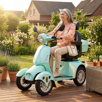 Mobility Scooter with Adjustable Seat & Storage Box, 4-Wheel, 800W Green — Lifestyle
